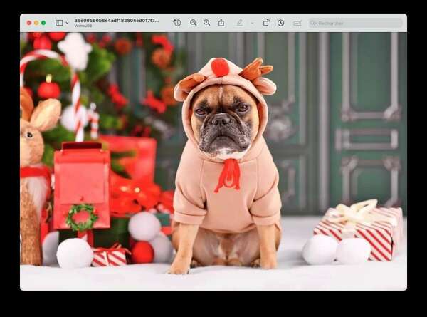 "Ces rabat-joie qui détestent les cadeaux"