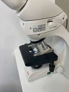 img_647520240909-1555425-181v1n5