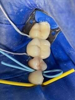 img_201220240909-1555425-7rguh4