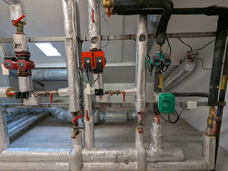 pxl_20250219_103247609