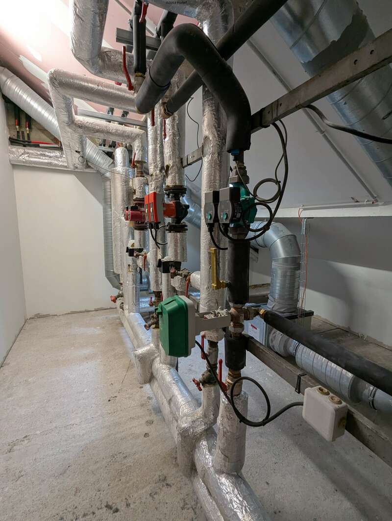 pxl_20250219_103258561