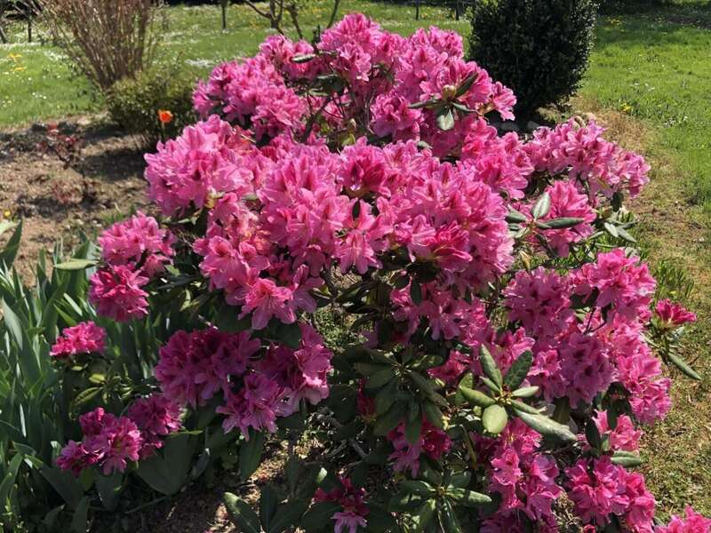 zpyd8wrbp6yvzgw3j5w4