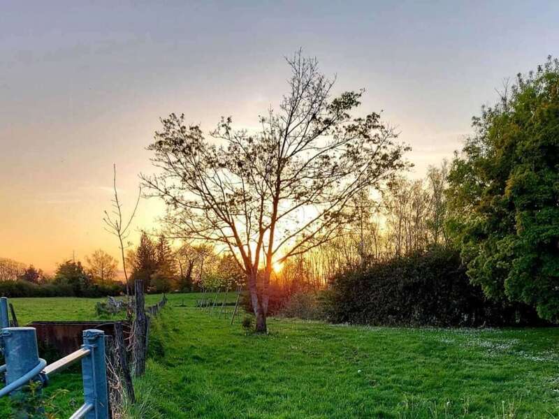 ukevk5fxtoba9cad0f1x