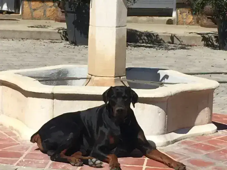 fr3bjy6erdr4xvr03ylt