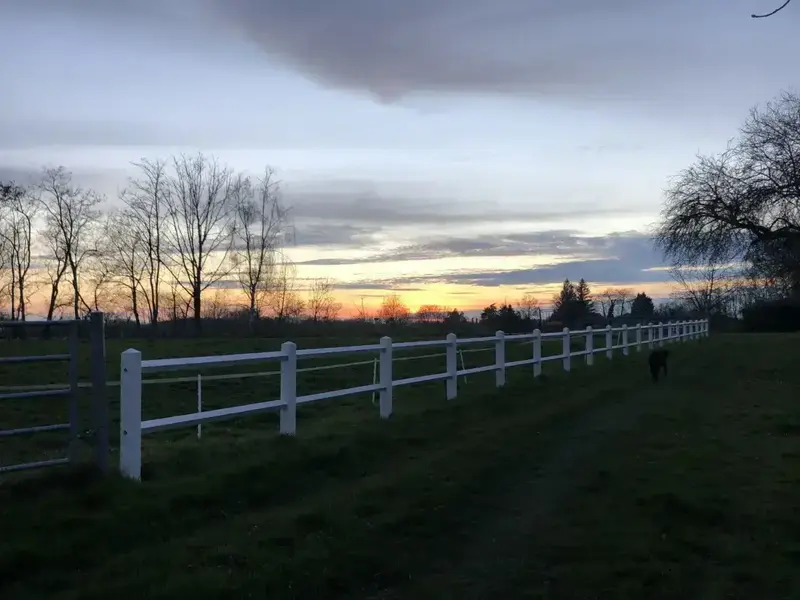 jsfkcx1q68xpu99bfuhy