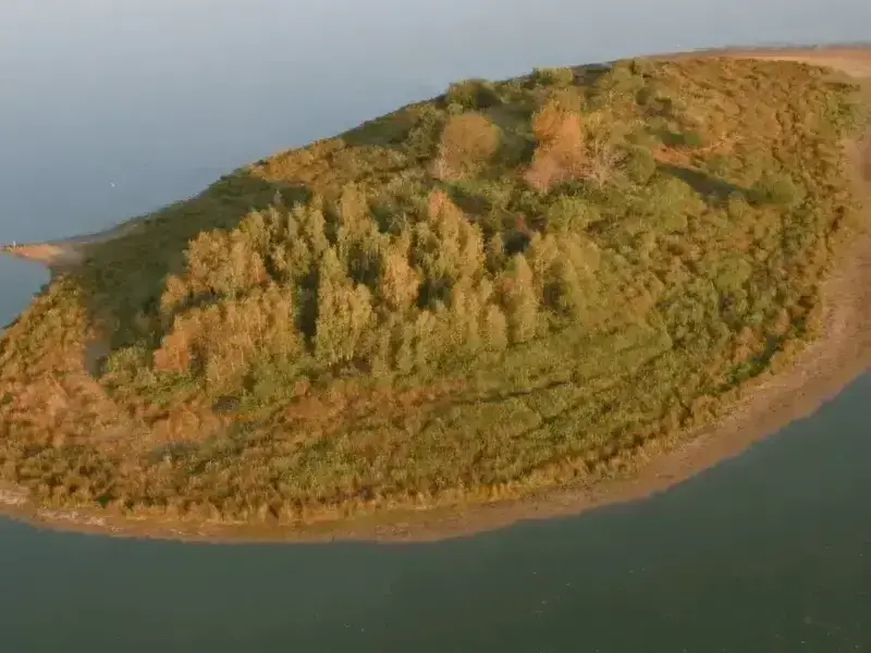 vtwkosp86ab4ikg0tukz