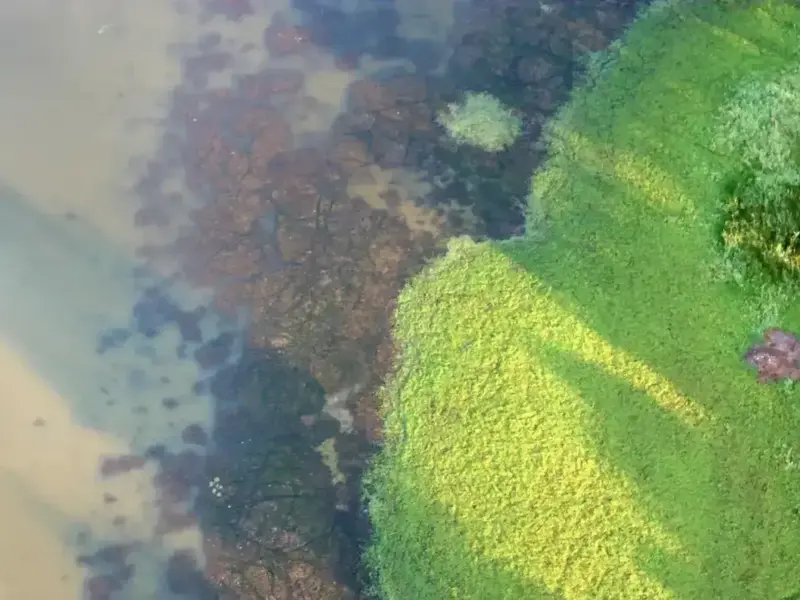 k9wxz5uyeqou6il4he1e