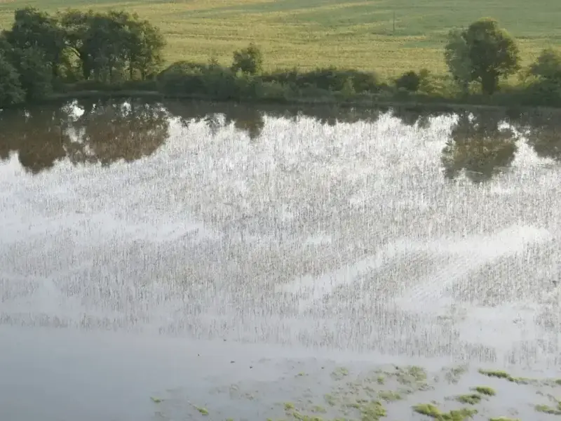 vryzucnu0xhrotrkveke