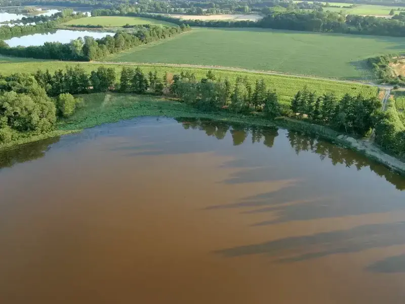 wqdl3svozqt0ph6ffvhg