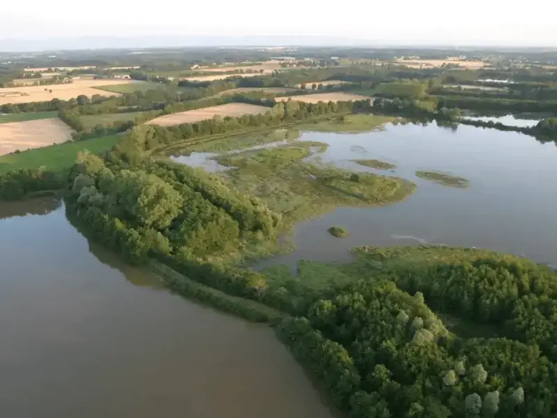 xmxt60ewm80fmndptxig