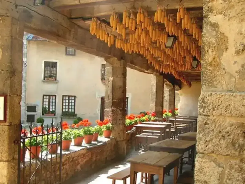 vaxyn0gjuqeaopawrd54