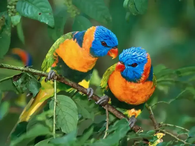 hmhxlufjmvdzilyaefc4