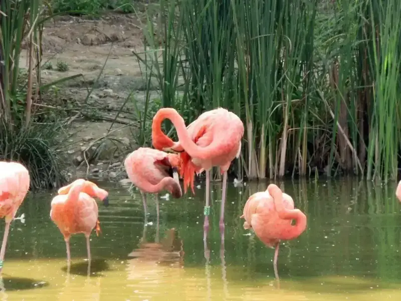 um9bdoy68fw9fj67qlt2