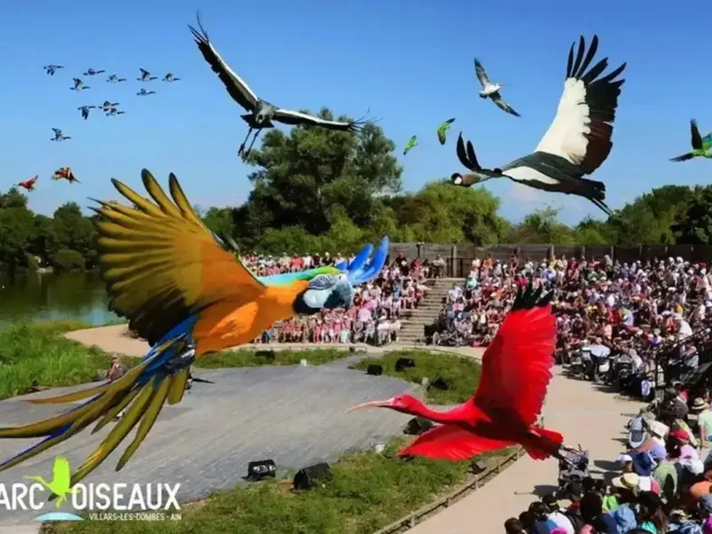 xscbmvxuei2wywsuqs6w