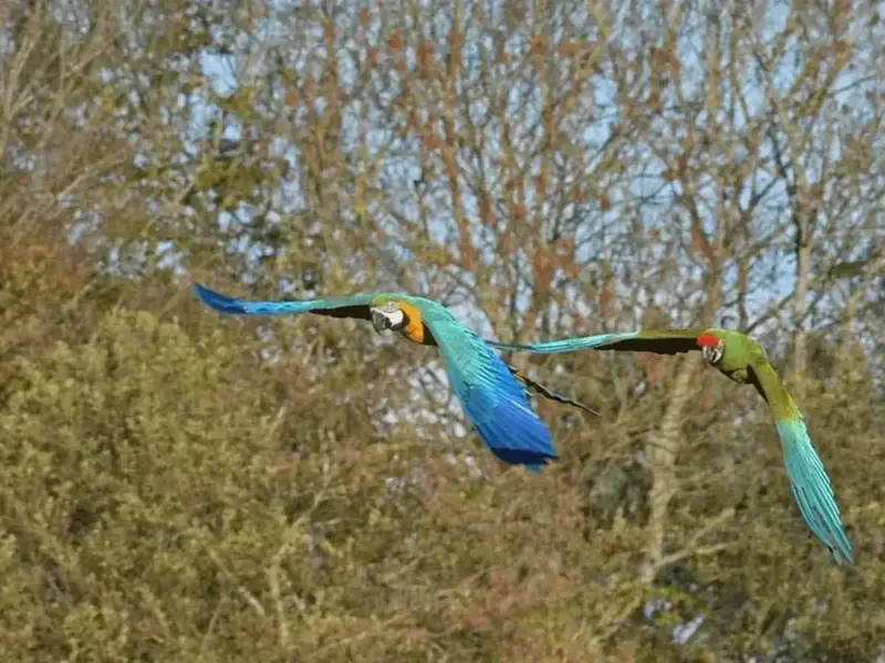 vlfww0sp6oa6myn3c3sm