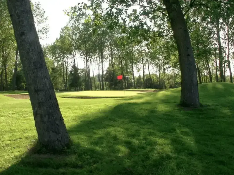 uvsbonk3pjlju1u2zlsq