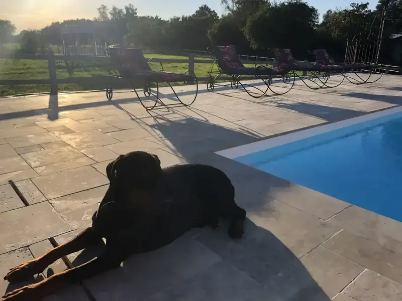 vgowrar6hoezwfbb8uaw