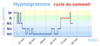cycle de sommeil avec phases et hormones
