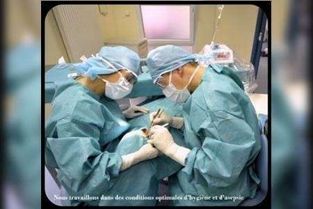 b4lfguti9n_1610095739