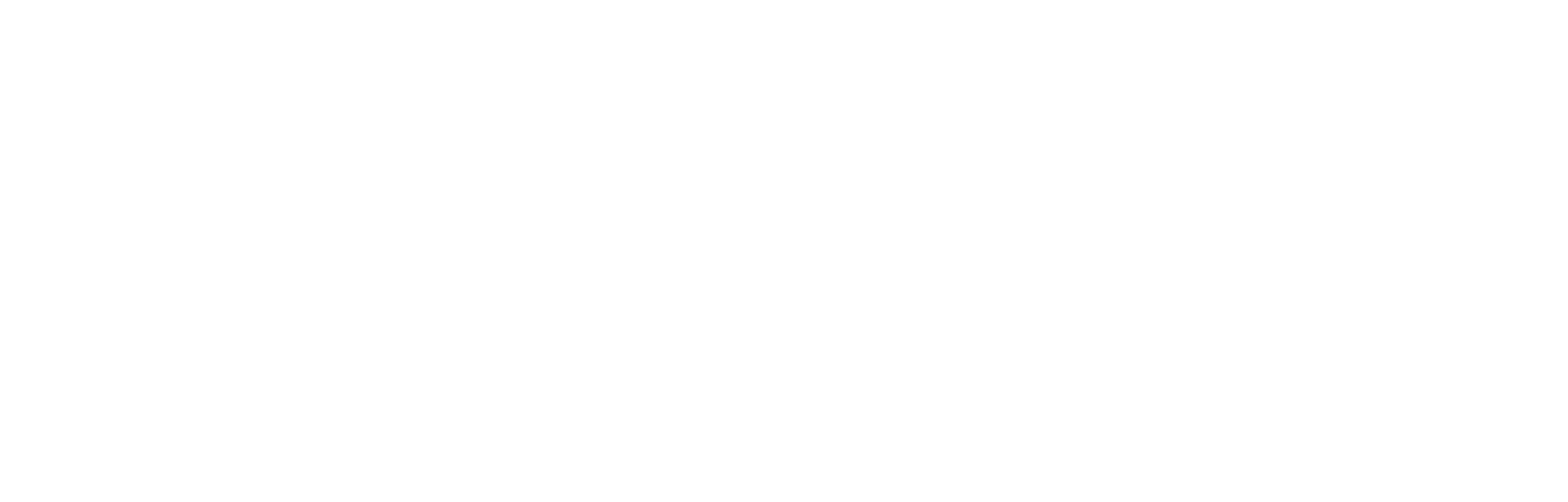 Irbis Finance