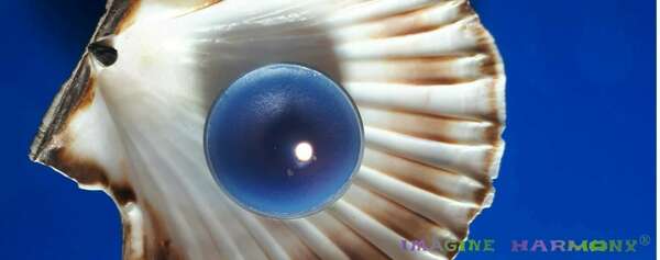 Une bougie bleu roi est allumée. Elle repose sur une coquille Saint Jacques.  L'ensemble est psoé sur un fond bleu roi.