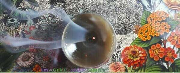 Une bougie verte olive parfumée au jasmin s'éteint. Sa fumée recouvre une branche de pin fraiche ainsi que des fleurs gravées.