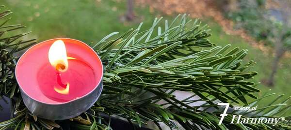 Calendrier de l'Avent - 10 décembre 2024