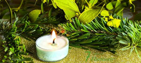 Calendrier de l'Avent - 14 décembre 2024