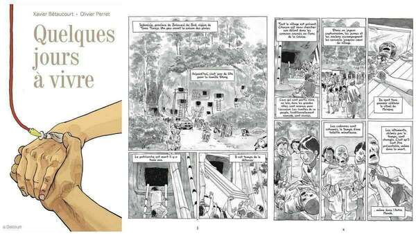 Activité clinique aux soins palliatifs de Roubaix