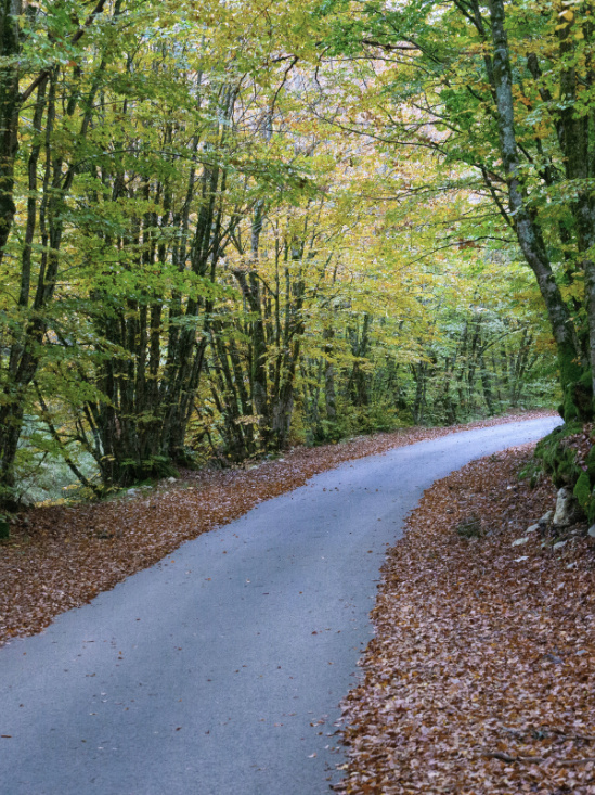 Une assurance emprunteur en France, Pays Basque