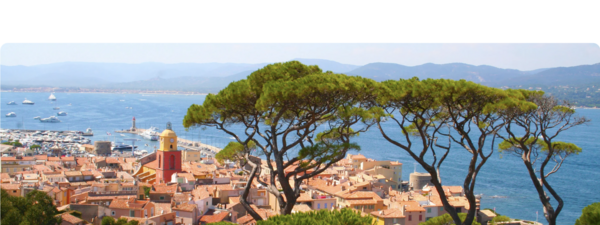 SCI, SCPI, SARL de famille: What’s the best property structure for investing in France in 2026 ?