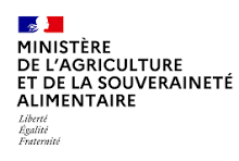 Mesures des Points de Fonction pour la valorisation des projets de développements