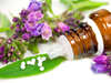 Homéopathie