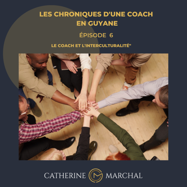 Pourquoi des dysfonctionnements ? épisode 7