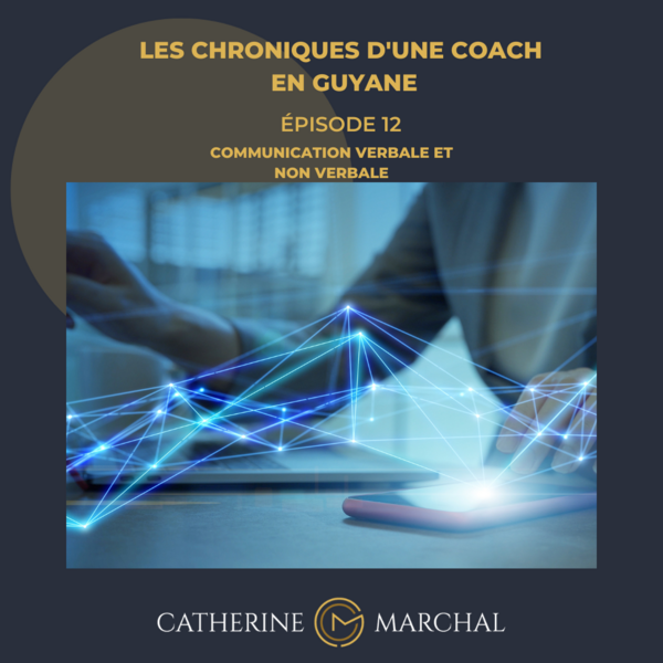 Communication verbale et non verbale, épisode 12