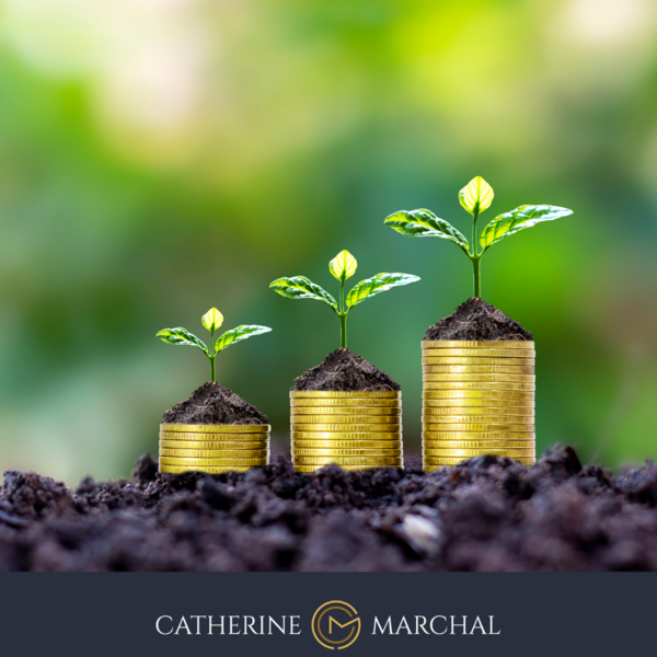  Comment Transformer Votre Relation à l'Argent ?