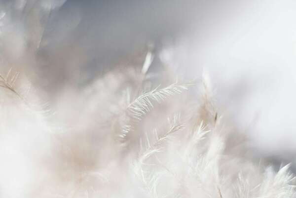 Octobre rose et bleu : mois de sensibilisation au deuil périnatal – Briser le silence et honorer les bébés partis trop tôt