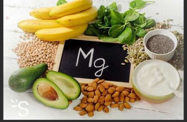 le magnésium