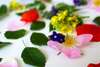Fleurs de Bach