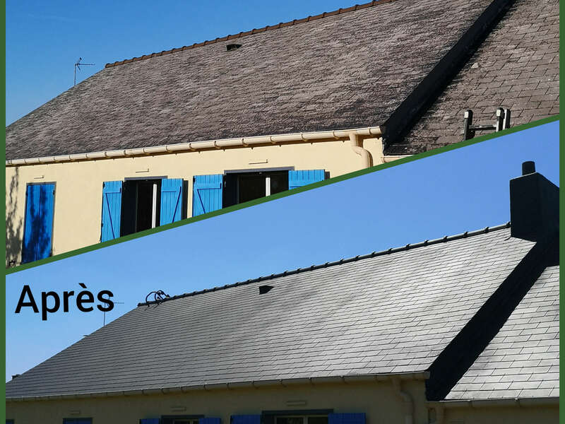 collagemaker_20200521_074156978