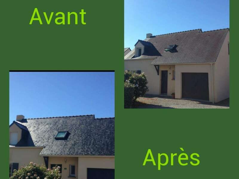 photocollage_20203172183478820210412-518492-1dw7znb