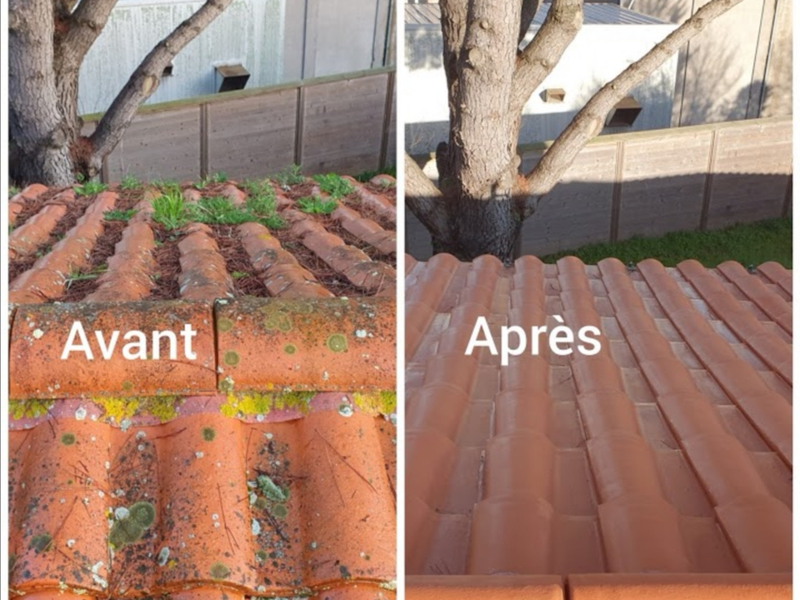 screenshot_20200919_132342_120210412-518492-q035rj