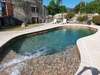 piscine forme libre sculpturale dans un jardin