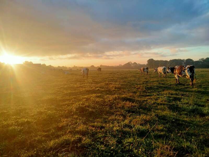 img2022073007083720220803-2420981-1dq8u52