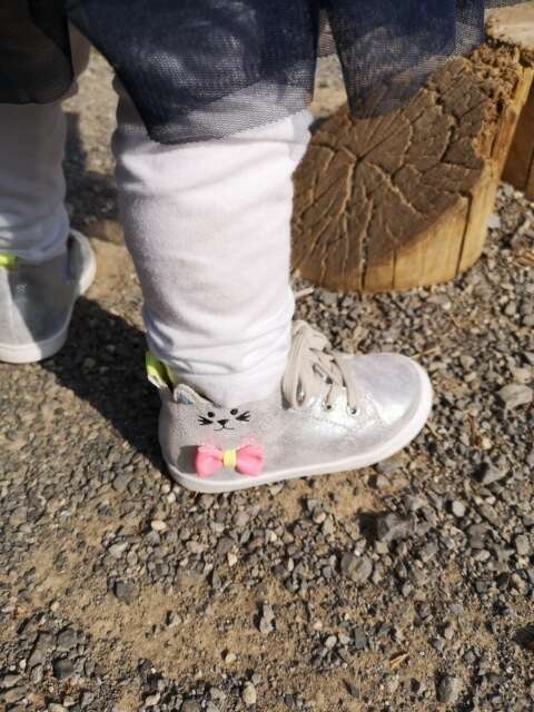 f0b0f74f-7d7f-45b9-bec3-ffcbfdc4ccb620210330-354865-1blopul