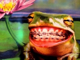 Logo Cabinet du Dr. PAULET