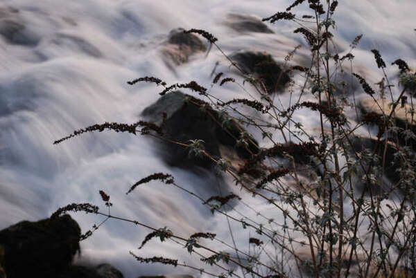 Notre pouvoir intérieur : Au coeur du Soi