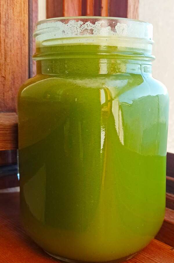 Jus en délice d'automne 