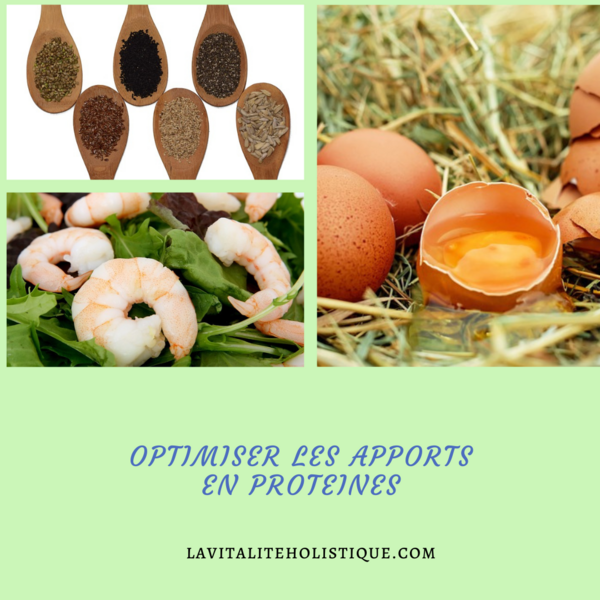 Optimiser les apports en protéines 