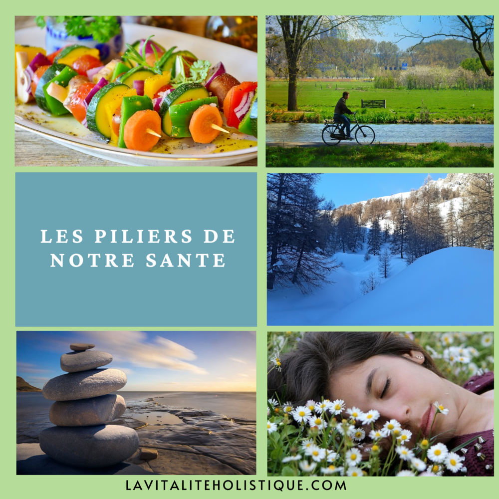 Les piliers de notre santé